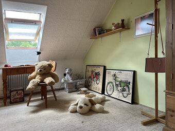 Rodinný dům s duší, 1134 m² – v sousedství hradu Rychmburk - 8