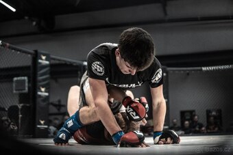 Sony ZV-E10 + Sigma 30mm f/1.4 DC DN | C + 3 baterie + nabíj - 8