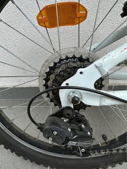 Dívčí kolo 20 Kross - 8