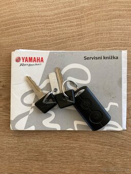 Yamaha X-Max300 - 8