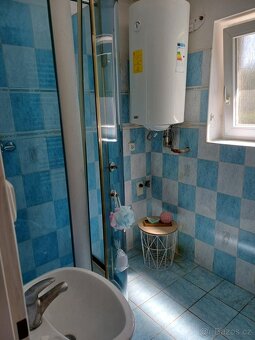 Pronajmu byt 1+1 se zahradou v Roztokách u Prahy - 8
