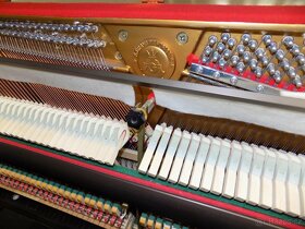 Koncertní piano, pianino, klavír Grand - 8