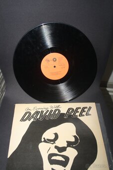 PRODÁM VELKÉ MNOŽSTVÍ LP DESEK - JAZZ , BLUES - 8