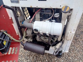 Bobcat Clark 313 - 8