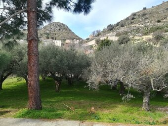 Sicílie, RD 2+1, 90 m2, poz. 1.000 m2, Montalbano Elicona - 8