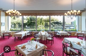 80x židle do restaurace křeslo polokřeslo z masivu - 8