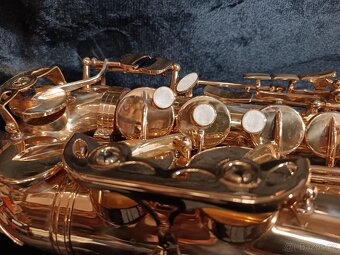 Alt sax Conn - 8