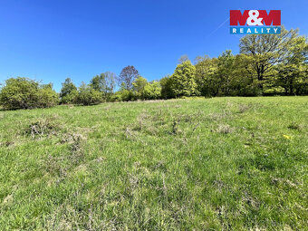 Prodej louky, 21830 m², Malšovice - Hliněná - 8