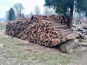 Palivové dřevo Feil - 8