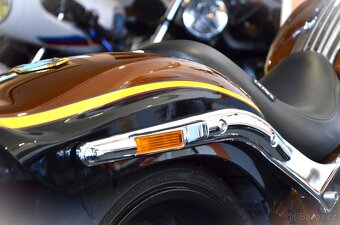Harley Davidson FXSTSSE2 Softail Springer 110 - 1.majitel - 8