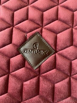 Kentucky Velvet Bordeaux - 8
