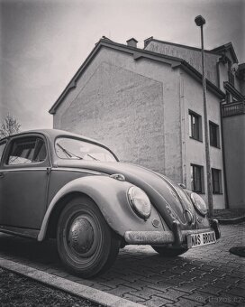 Volkswagen brouk 1953 6v - 8