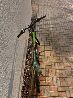 Rock Machine Surge 24” - 8
