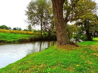 Pozemek v krásné přírodě pro mobilní objekt, zahrádku - 8