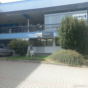 Pronajem výrobny pelmeně - 8