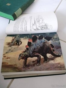 Augusta Josef - Divy prasvěta - 8