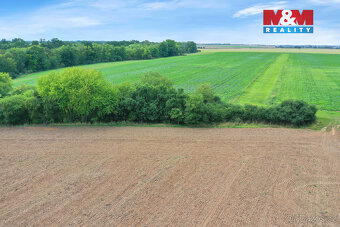 Prodej lesa, 1302 m², Velké Všelisy - 8