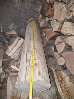 Lipa dřevo pro řezbaře - 8