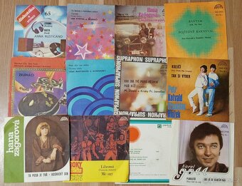 SP vinylové desky různých interpretů v perfektním stavu - 8