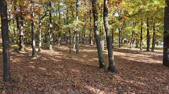 Prodej stavebního pozemku 1261 m² Vltavská, Březová-Oleško - - 8