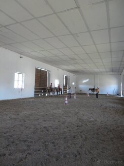 Ustájení koní na Šumavě - 8