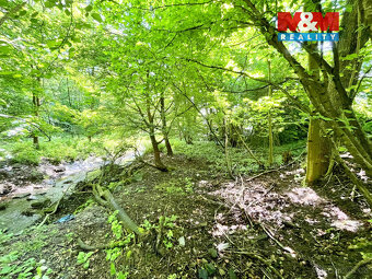 Prodej vodní plochy, 3255 m², Skalice u České Lípy - 8