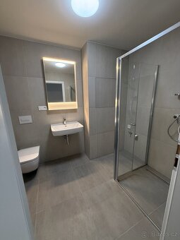 Pronájem bytu 1+KK Opava, Bílá Perla - 8