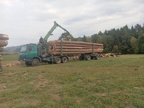 Lesovuz tatra815 - 8