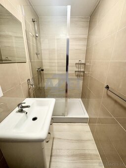 Pronájem, byt 1+kk, 30 m2, Moravská Ostrava, ul. Nádražní - 8