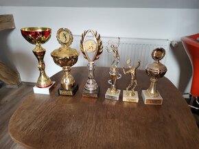 sportovní poháry - 8