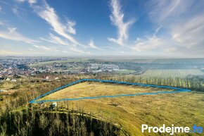 Prodej zemědělské půdy, 7 123 m2 - Nový Šaldorf-Sedlešovice - 8
