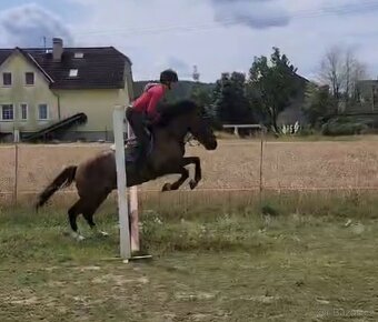 4letý kompaktní Valášek 145cm - 8