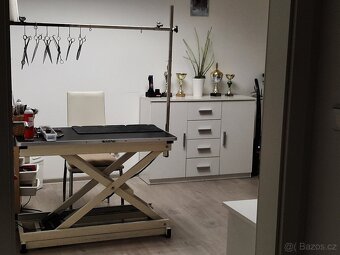 Psí salon Slaný-Netovice - 8