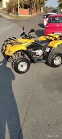 Can am rally 200 - 8
