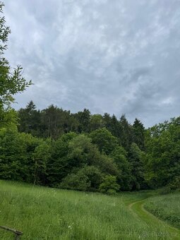Prodám lesní pozemky v k.ú. Brod nad Labem - 8