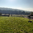 stavební pozemek Březová-Oleško - 8