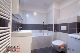 Pronájem, byty/1+kk, 35 m2, U Velkého rybníka 2313/27, 30100 - 8