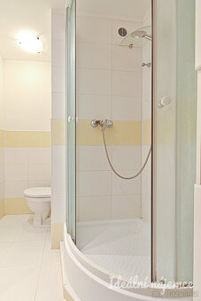 Pronájem bytu 1+kk, Moldavská, Bohunice, 13.000 Kč/měs, 34 - 8