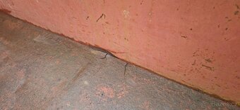 Prodám vozík za Vari - 8