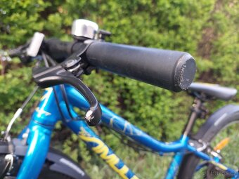 Amulet Tomcat 24" - 8