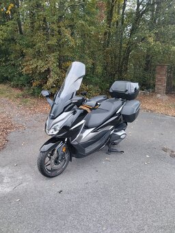Forza 350 - 8