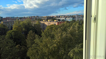 Prodej bytu 2+1, 63 m², Nálepkovo nám. - 8