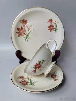 Sběratelský porcelánový čajový set/sada Hutschenreuther - 8