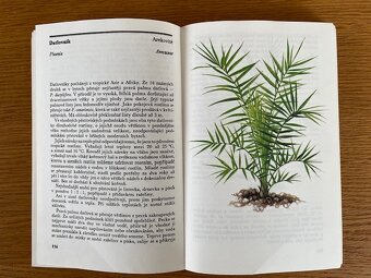 Starší knihy -Zelený domov, Pracujeme se dřevem - 8