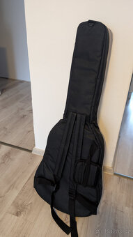 Kytara zn. Washburn C40 - 8