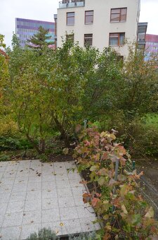 Pronájem samostatné kanceláře 28. pluku Praha 10 Vršovice - 8