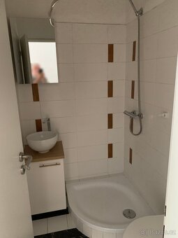 Dvougenerační byt 6+kk v OV se zahradou a parkováním - 8