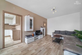 Prodej bytu, 60m2, Tichá ulice, Plzeň , Skvrňany - 8