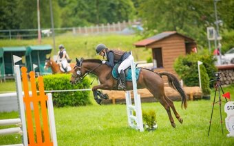 Klisna do sportu a chovu - 8