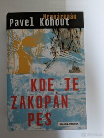 Wilbur Smith, Americká idyla, Severozápad, Kde je zakopán pe - 8